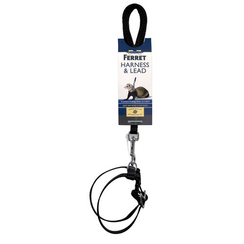 Harness & Lead, Black For Small Animals