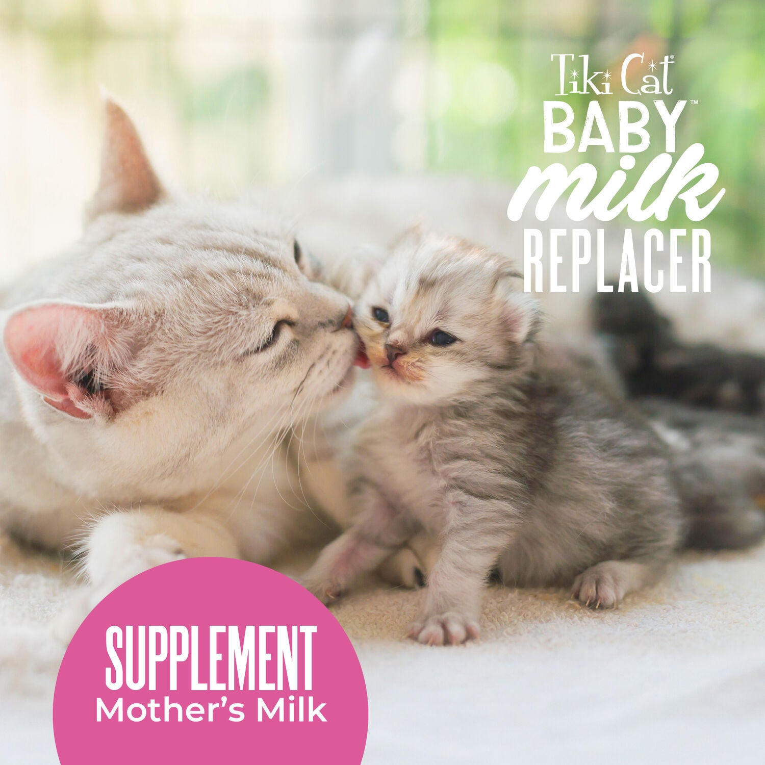 Tiki Cat Baby Milk Replacer Kitten Food, Goat Milk, 6-Oz Spout Pouch Pack Of 6