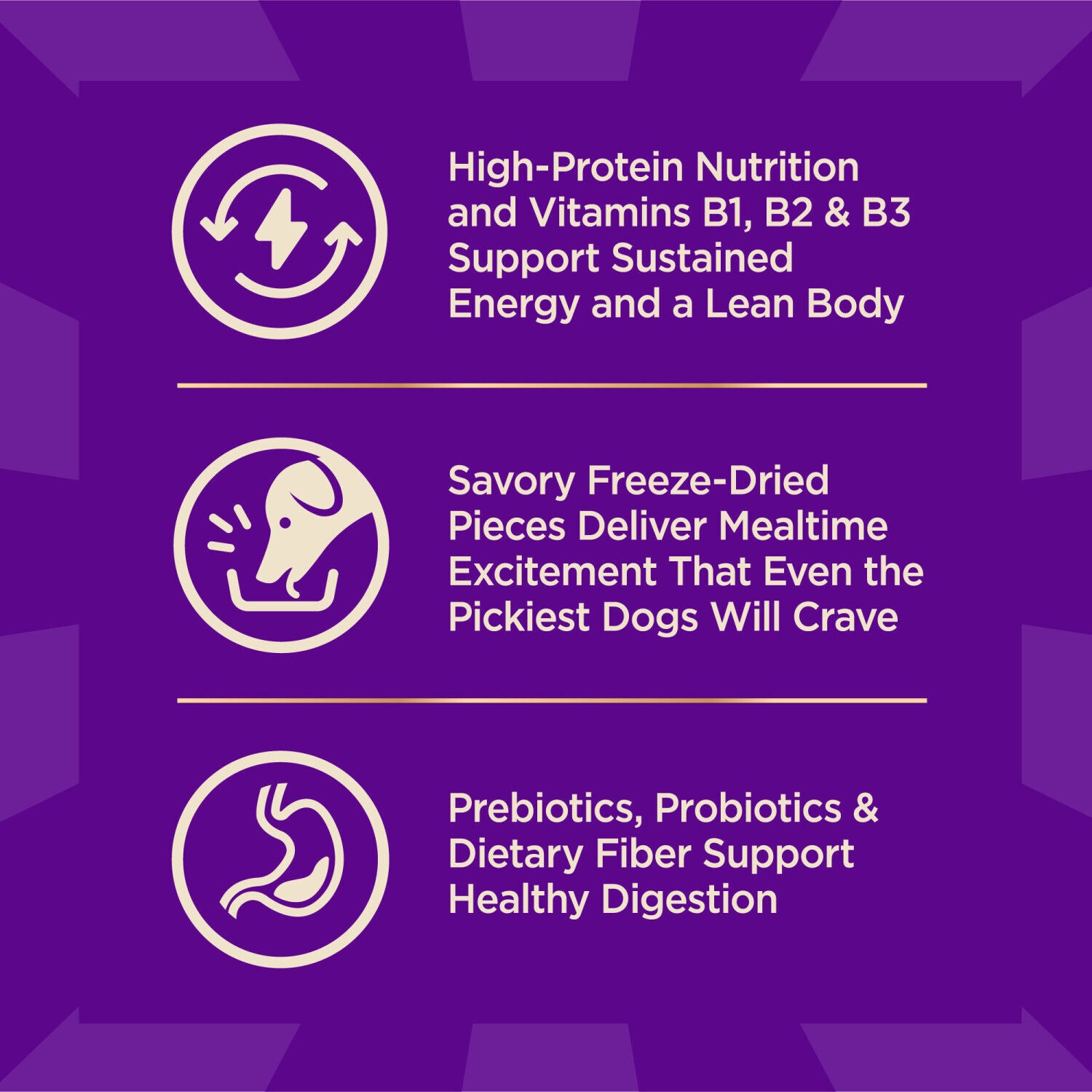 Wellness Core+ Dry Dog Food With Freeze Dried Pieces, Small Breed, Grain Free, High Protein, Natural, Original Turkey & Chicken Recipe, 4-Pound Bag