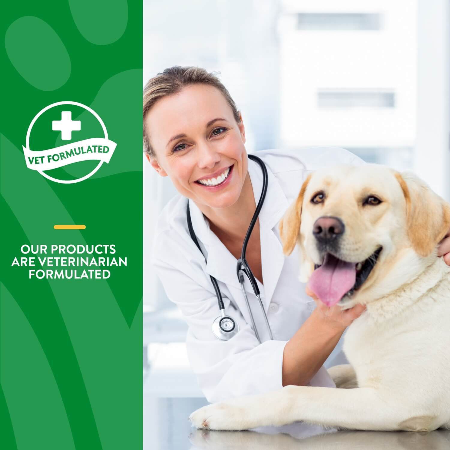 Naturvet Advanced Probiotics And Enzymes Supplement, Plus Vet Strength Pb6 Probiotic For Dogs