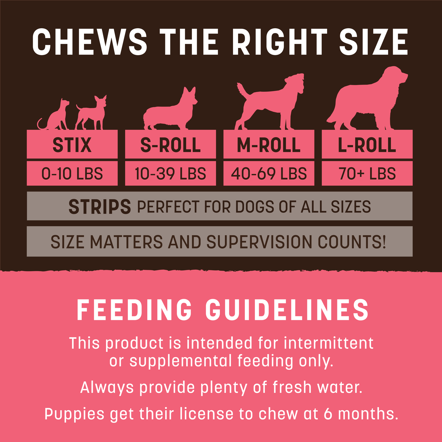 Earth Animal No-Hide Rawhide Alternative Dog & Cat Treat Stix, Wild Caught Salmon, 10 Pack