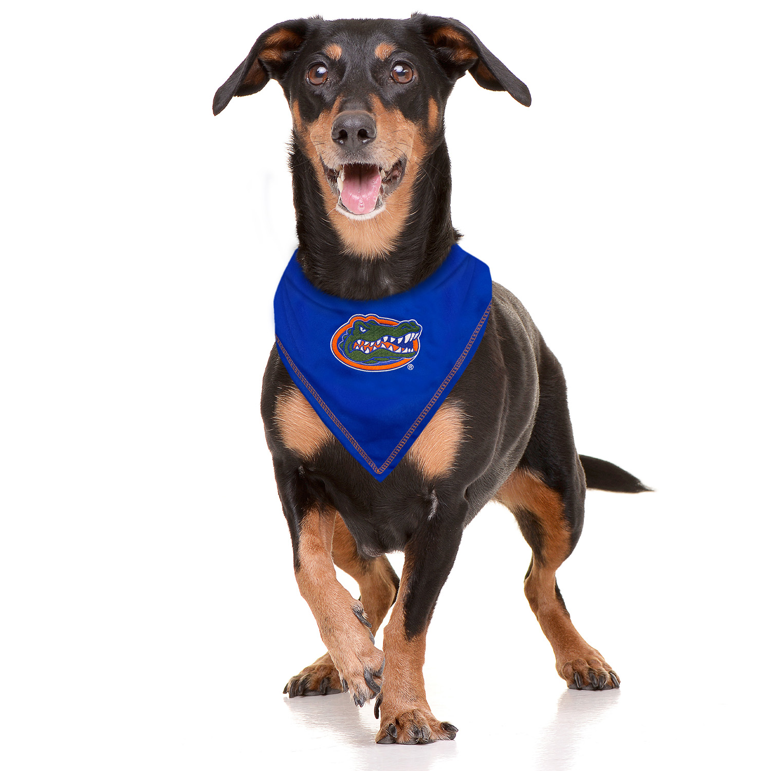 Pets First University Of Florida Gators Tie Around Dog Bandana, Small/Medium