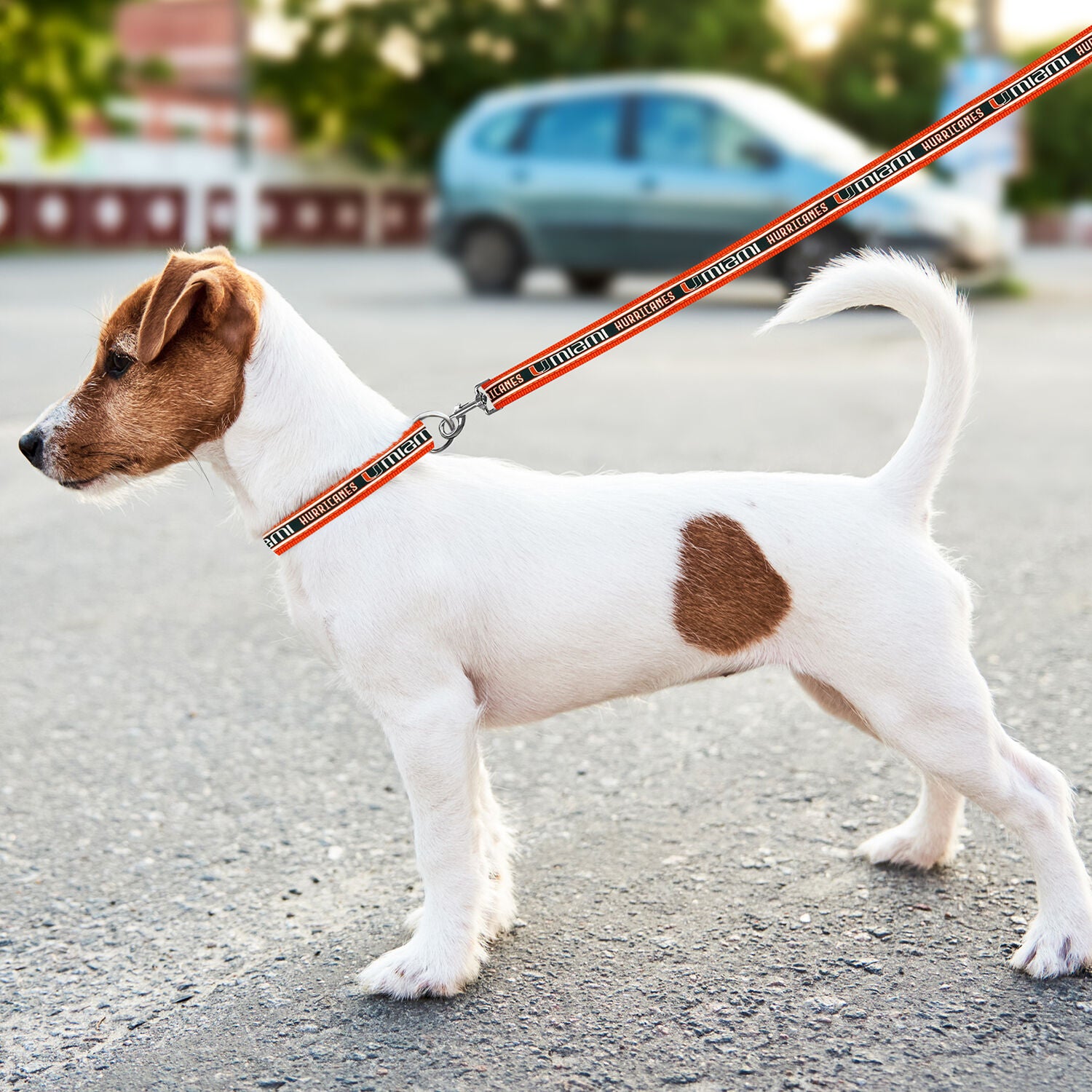 Pets First Ncaa University Of Miami Hurricanes Satin Dog Leash, Large