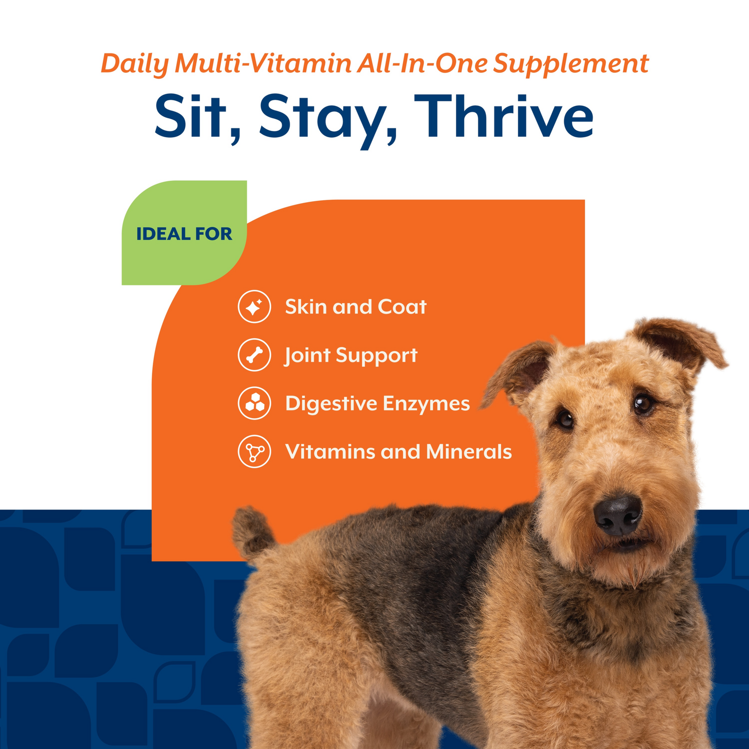 Naturvet All-In-One Vitamin Dog Supplement Soft Chews, 60-Count