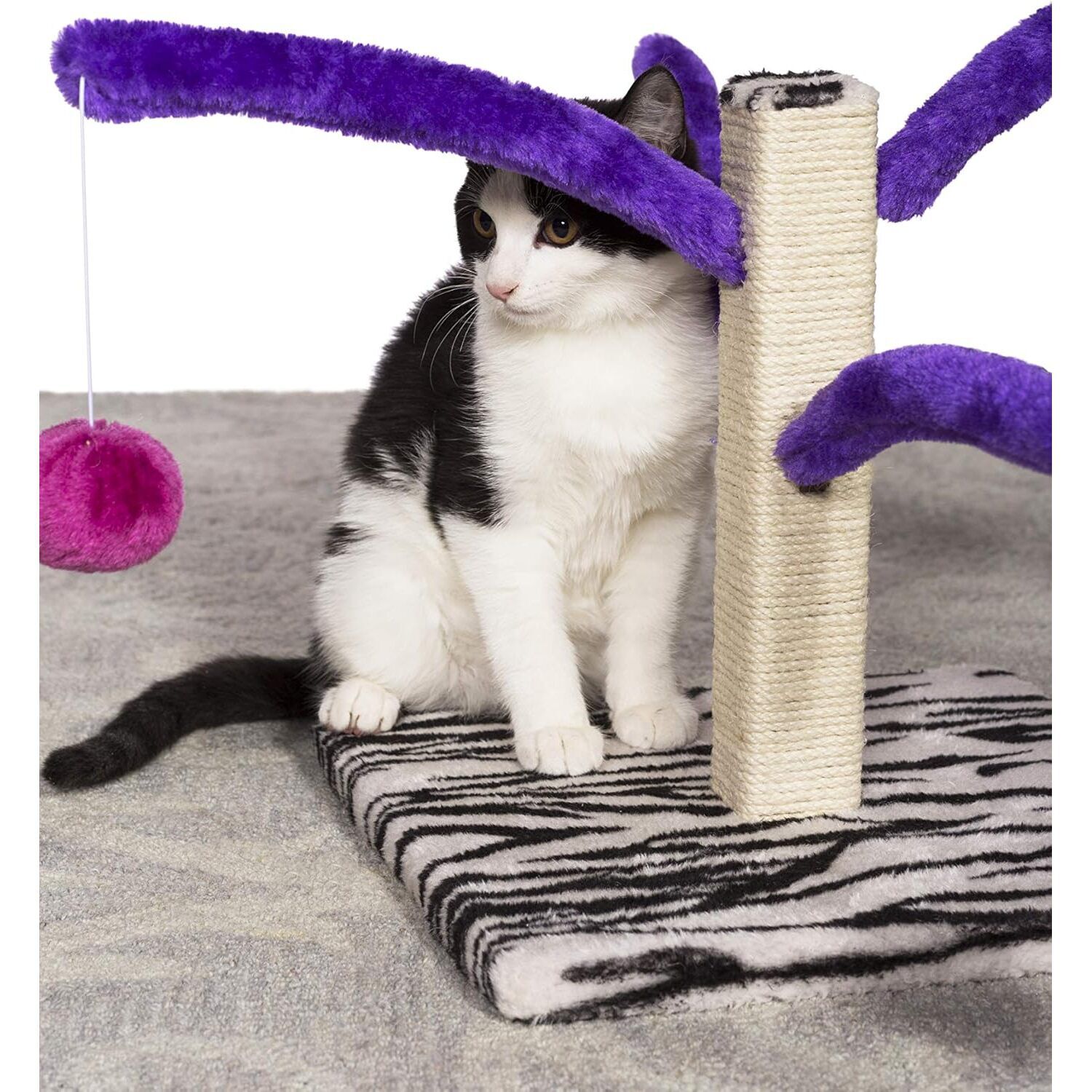 Prevue Pet Products Bounce 'N Spring Cat Scratcher, Multi-Color