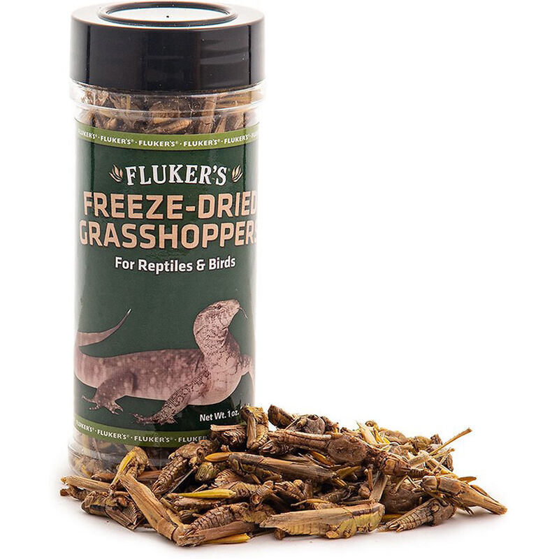 Freeze Dried Grasshoppers 1 Oz Reptile Food image number 1