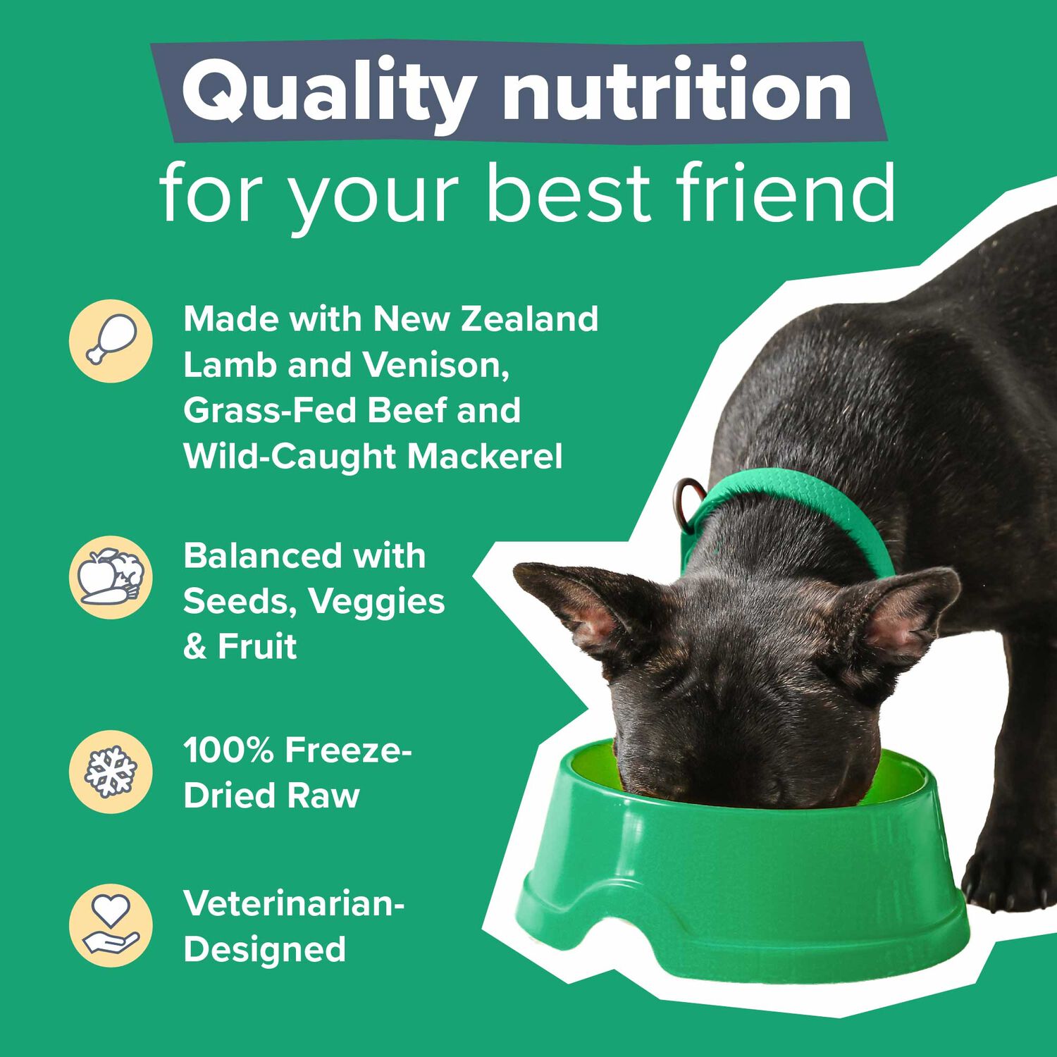 Dr. Marty Nature's Blend Premium Origin Freeze-Dried Raw Dog Food, 16-Oz Bag