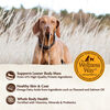 Wellness Core Wild Game Duck, Lamb Meal, Wild Boar & Rabbit Recipe Dog Food thumbnail number 7