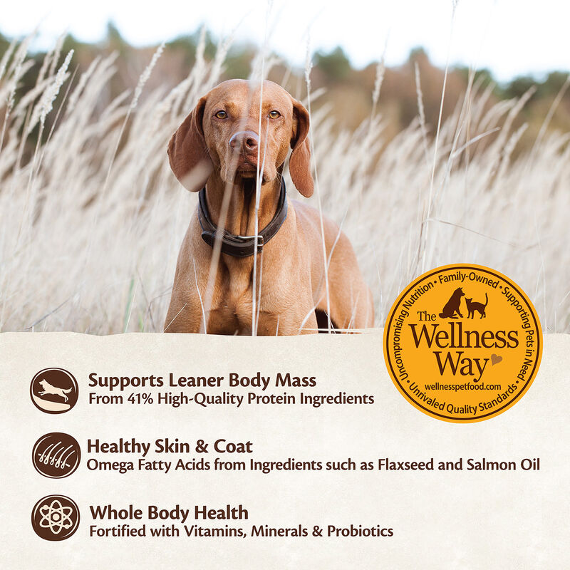Wellness Core Wild Game Duck, Lamb Meal, Wild Boar & Rabbit Recipe Dog Food image number 7