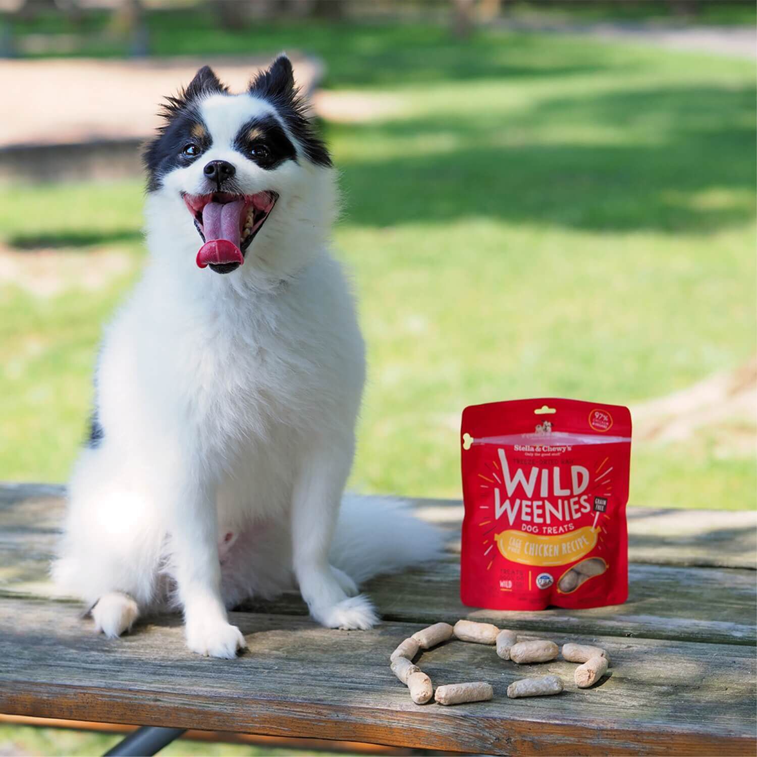 Stella & Chewy's Wild Weenies Freeze Dried Grain Free Dog Treats, Cage Free Chicken Recipe, 11.5-Lb Bag