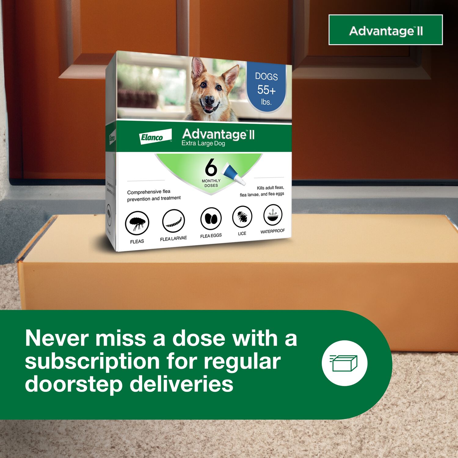 Advantage Ii Flea Treatment & Prevention For Extra Large Dogs, Over 55-Lbs 6-Pack = 6 Months Of Protection