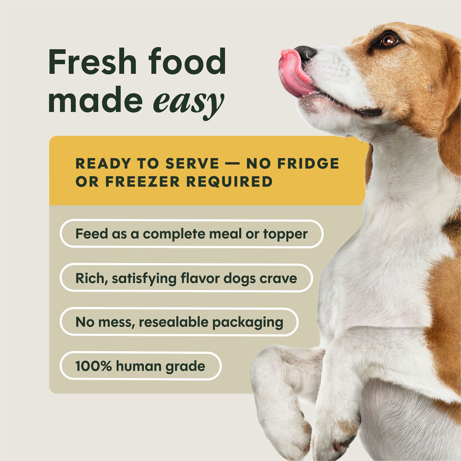 Instinct Freshly Crafted Meals Wet Dog Food Or Dog Food Topper, Cage-Free Chicken Recipe, 11-Oz Pack Of 12