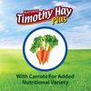 Timothy Hay Plus Carrots thumbnail number 3