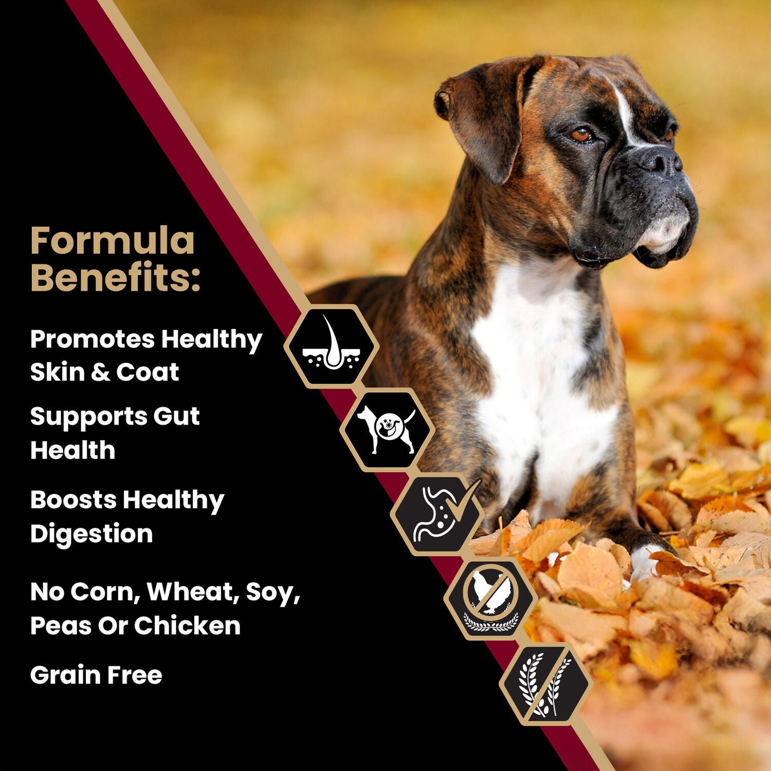 Victor Sensitive Skin And Stomach Dry Dog Food, Grain Free Lamb Meal And Sweet Potato Recipe, 15-Lb Bag
