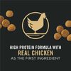 Focus Puppy Chicken & Rice Formula Dog Food