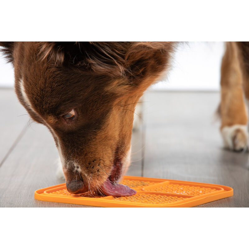 Pet Zone Boredom Busters Indulge Dog Lick Mat