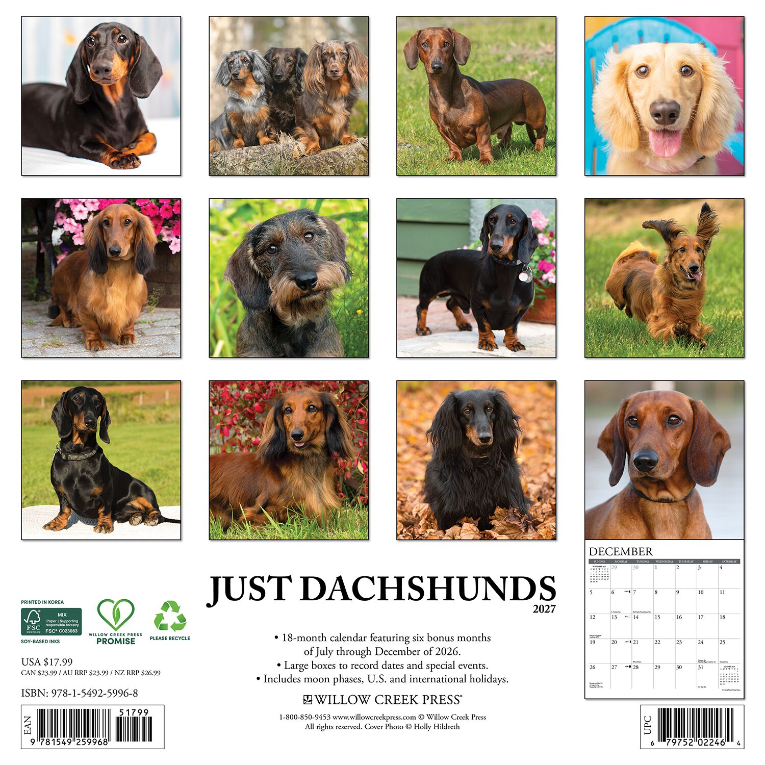 Willow Creek Press Just Dachshunds 2027 Wall Calendar