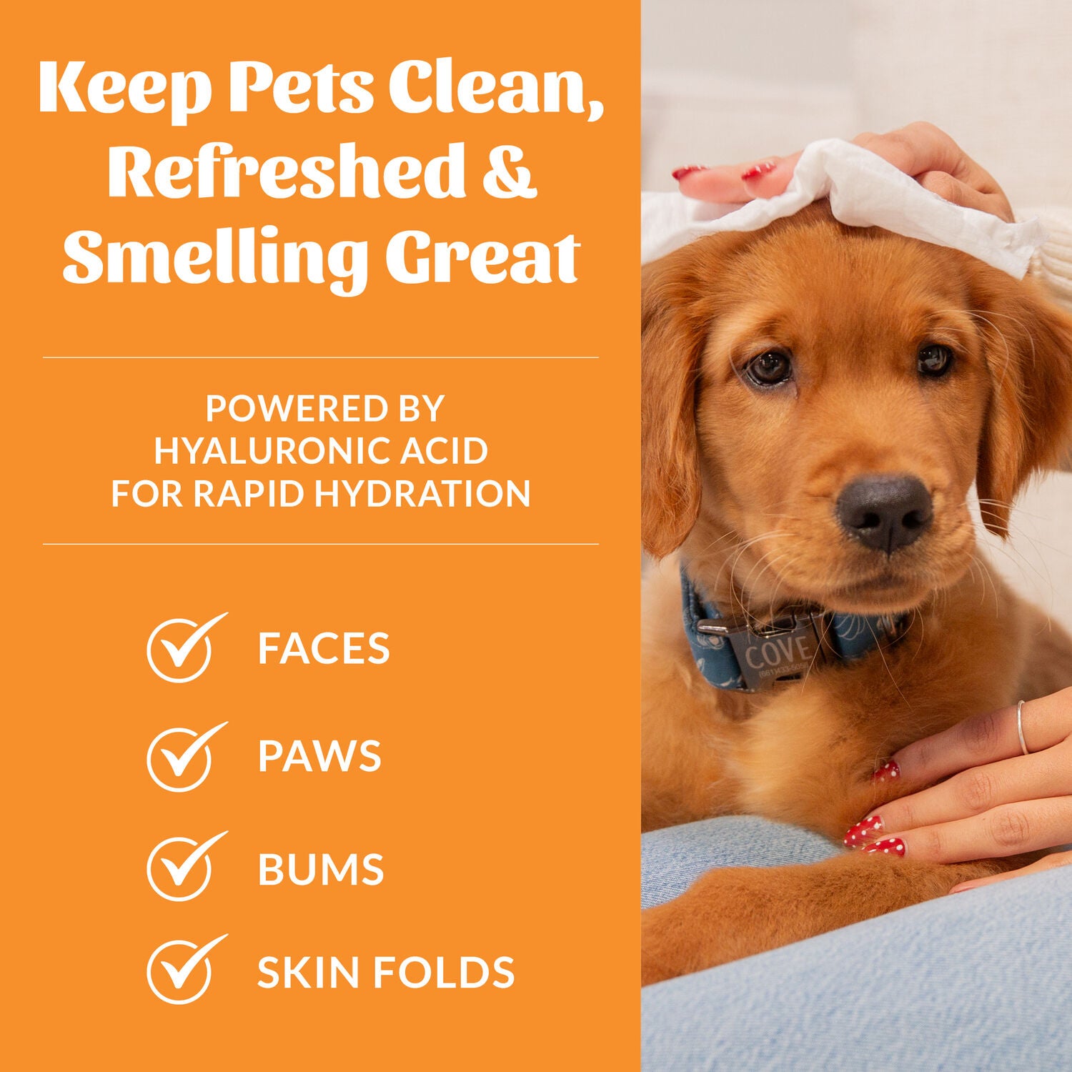 Skout's Honor Hydroclear&trade;️Dog Grooming Wipes, Honeysuckle Scented, 100 Count
