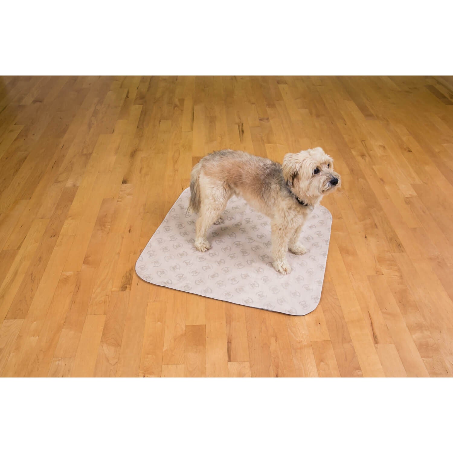 Potty pad clearance