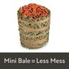 Field+Forest By Kaytee Mini Hay Bale, Carrot thumbnail number 2