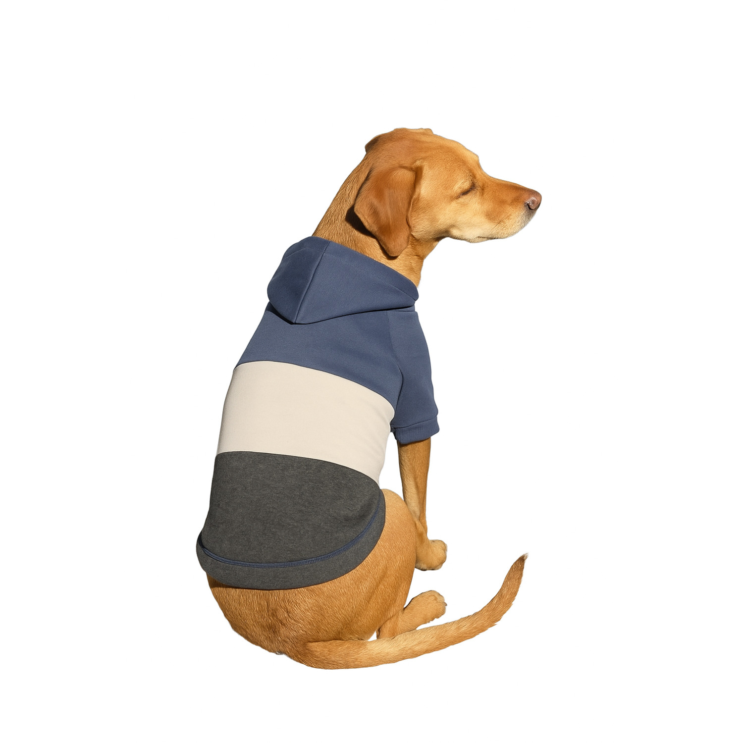 Simply Dog Fall Color Block Dog Hoodie