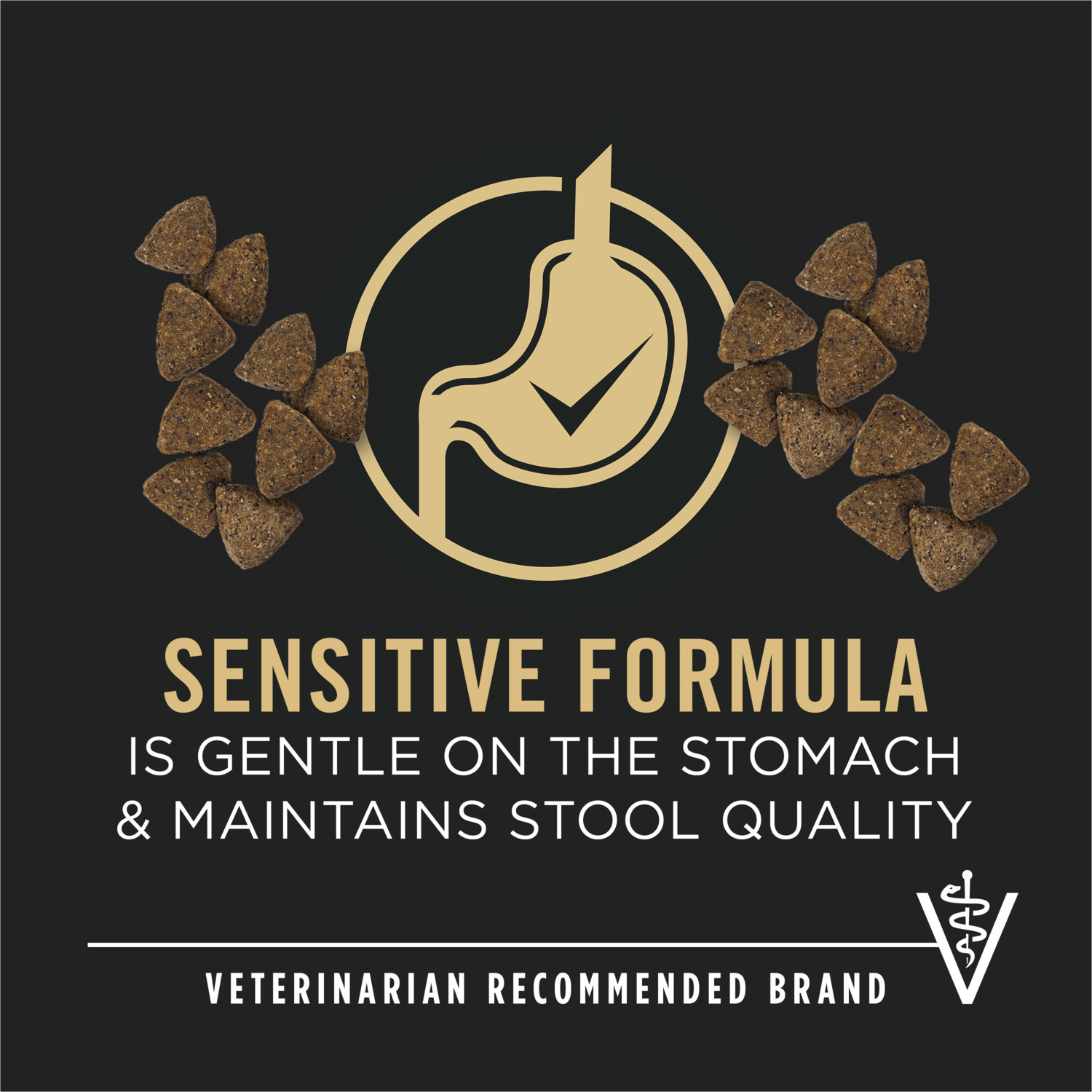 Purina Pro Plan Sensitive Skin And Stomach Salmon And Rice Formula Adult Dry Dog Food, 40Lb