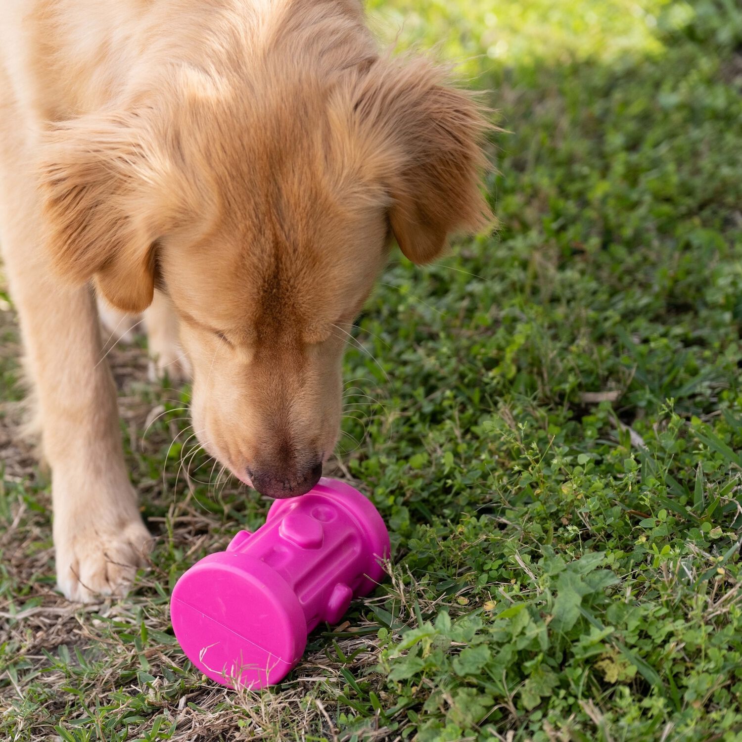 Chews Hues Pink Hydrant Squeaker Medium To Large Sized Dog Toy