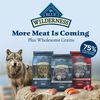 Wilderness Salmon Adult Dog Food thumbnail number 3