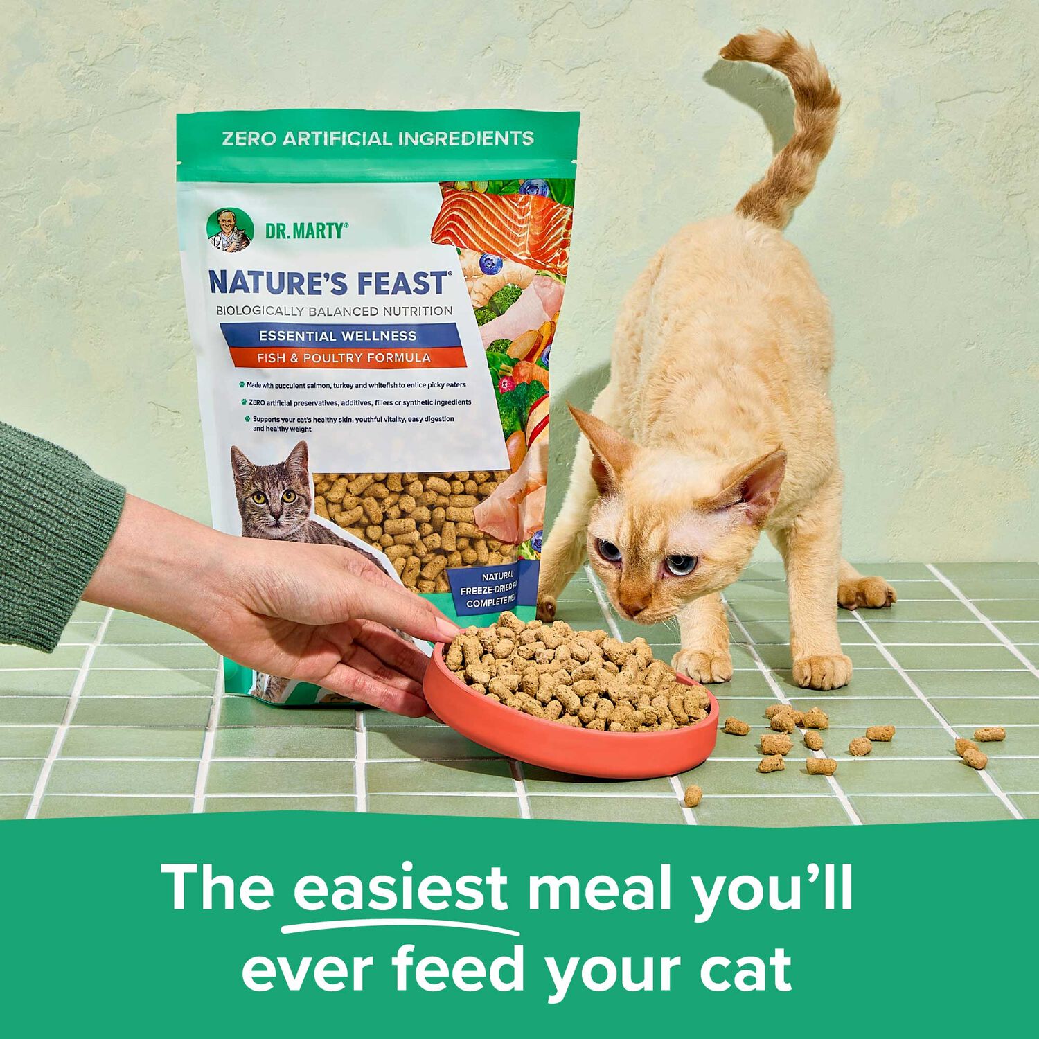 Dr. Marty Nature's Feast Essential Wellness Fish & Poultry Formula Freeze-Dried Raw Cat Food, 5.5-Oz Bag