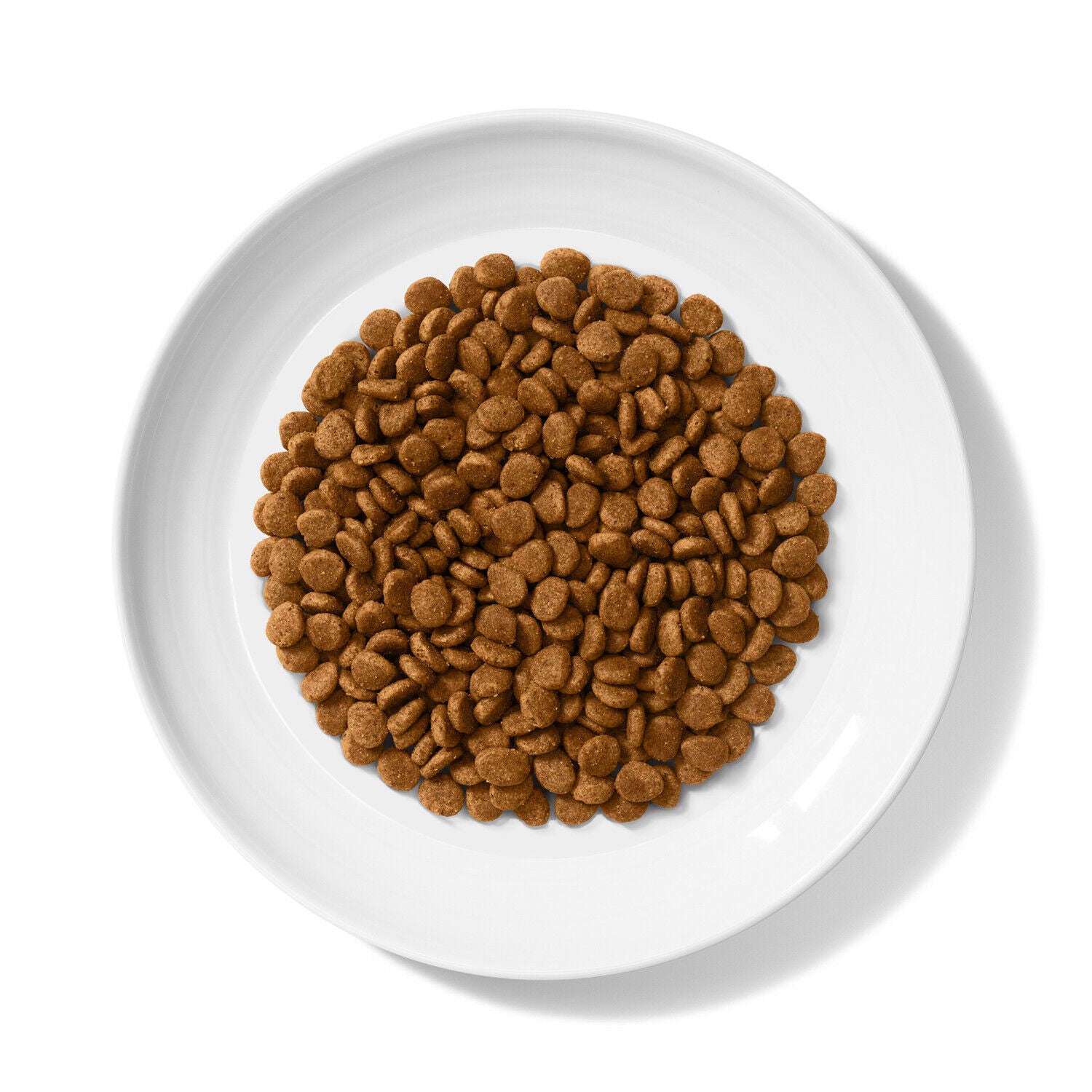 Merrick Purrfect Bistro Grain Free Chicken And Sweet Potato Recipe Dry Adult Cat Food, 4-Lb.