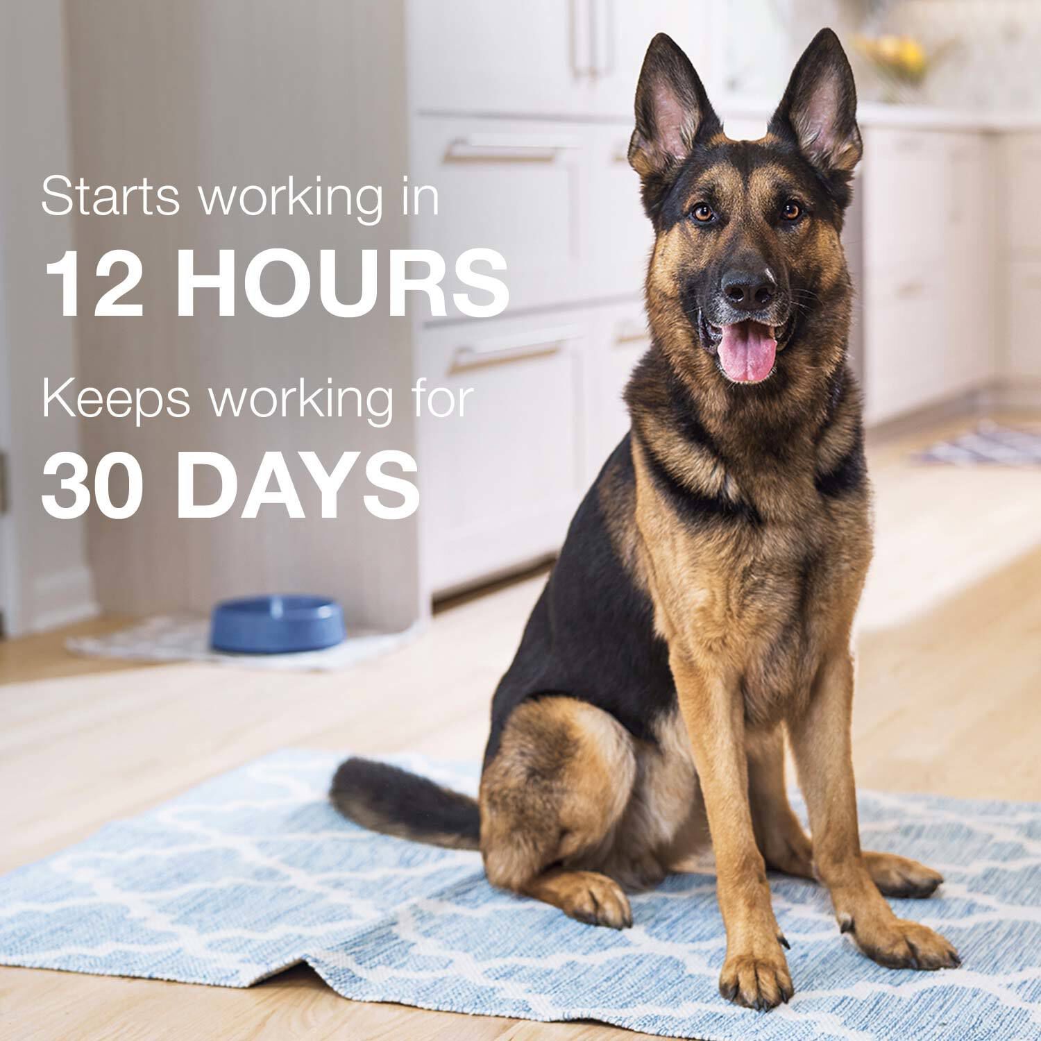 Advantage Ii Flea Treatment & Prevention For Medium Sized Dogs, 11-20-Lbs, 4-Pack = 4 Months Of Protection