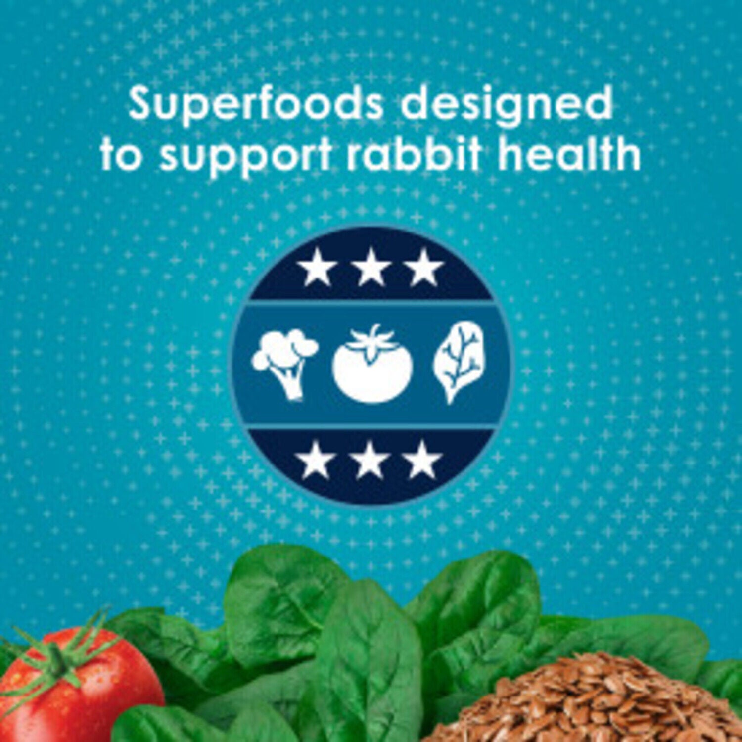 Kaytee Forti-Diet Pro Health Nourish + Protect Adult Rabbit Food, 20-Lb