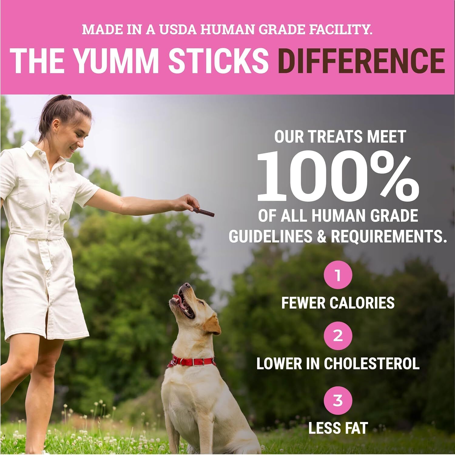 Etta Says! Pork Yumm Stick Dog Treat, 1 Count