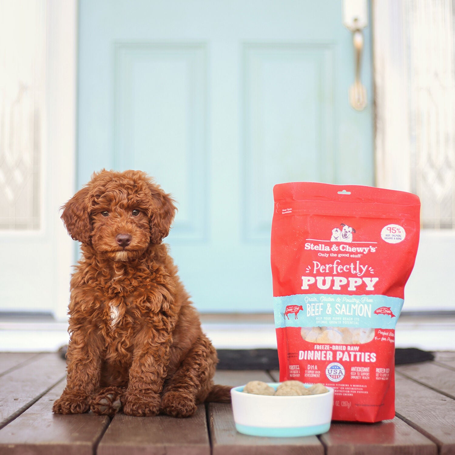 Stella & Chewy's Freeze-Dried Raw Dinner Patties For Puppies - Perfectly Puppy Beef & Salmon Recipe - 5.5 Ounce Bag
