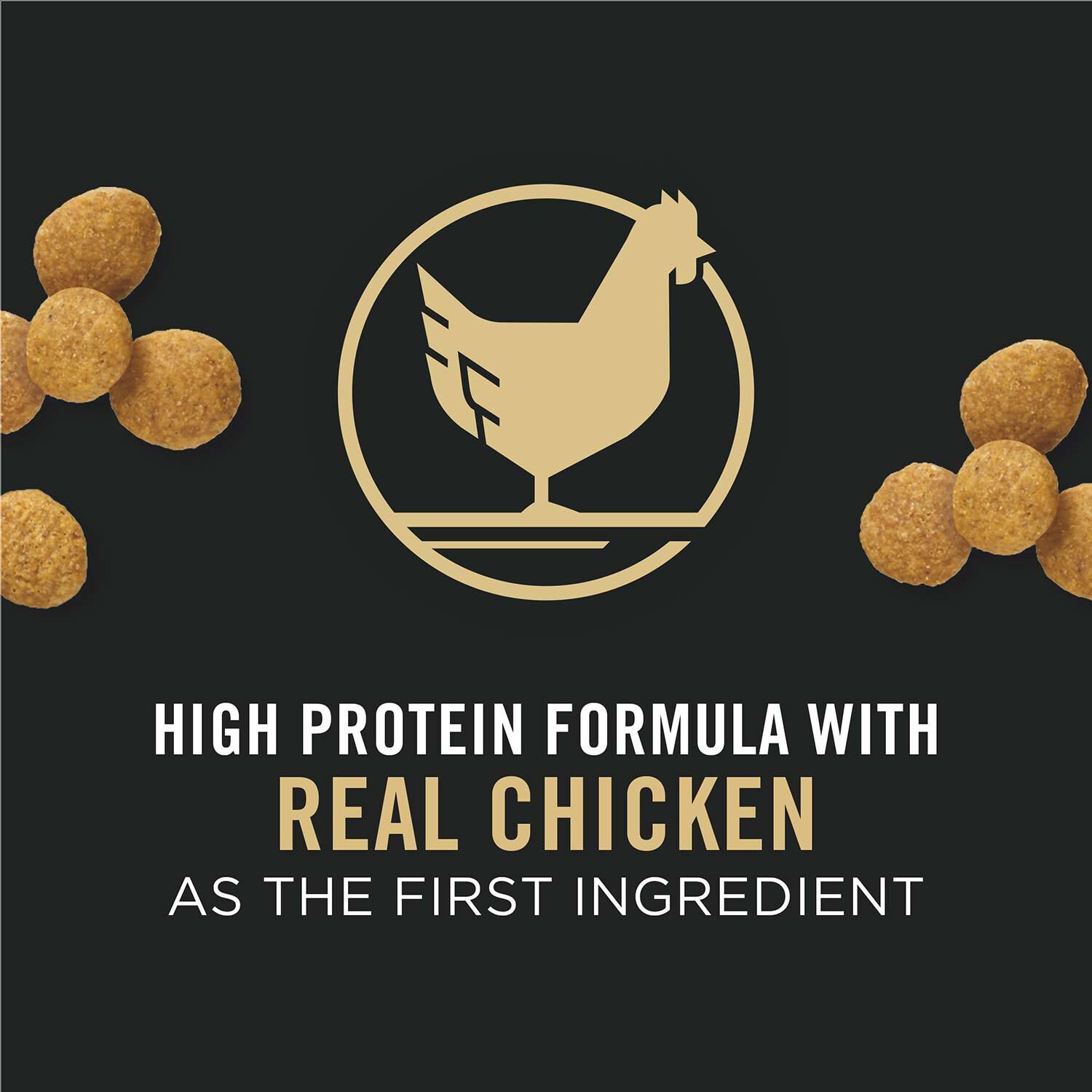 Purina pro plan focus discount large breed puppy 34 lb