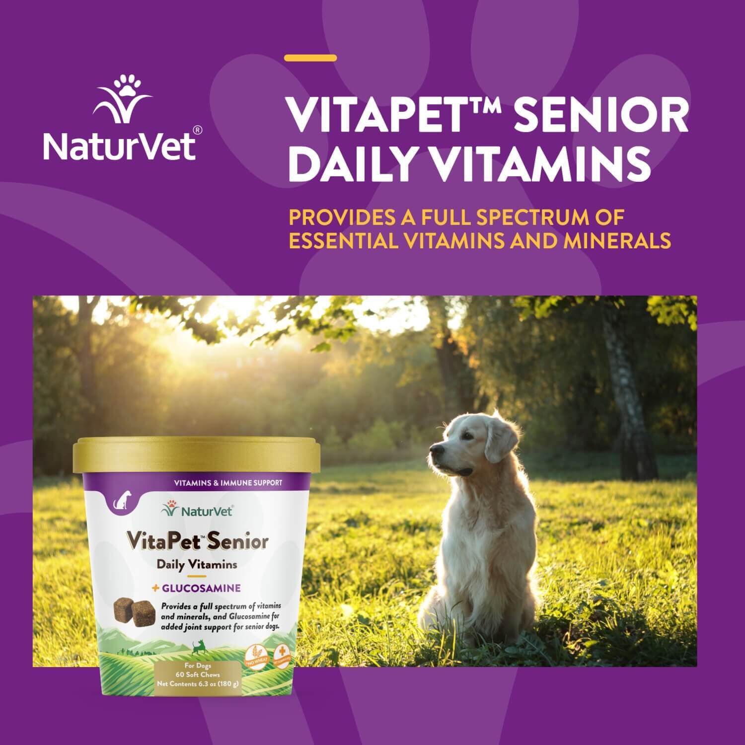 Naturvet Vitapet Senior Daily Vitamins Plus Glucosamine Soft Chews For Dogs