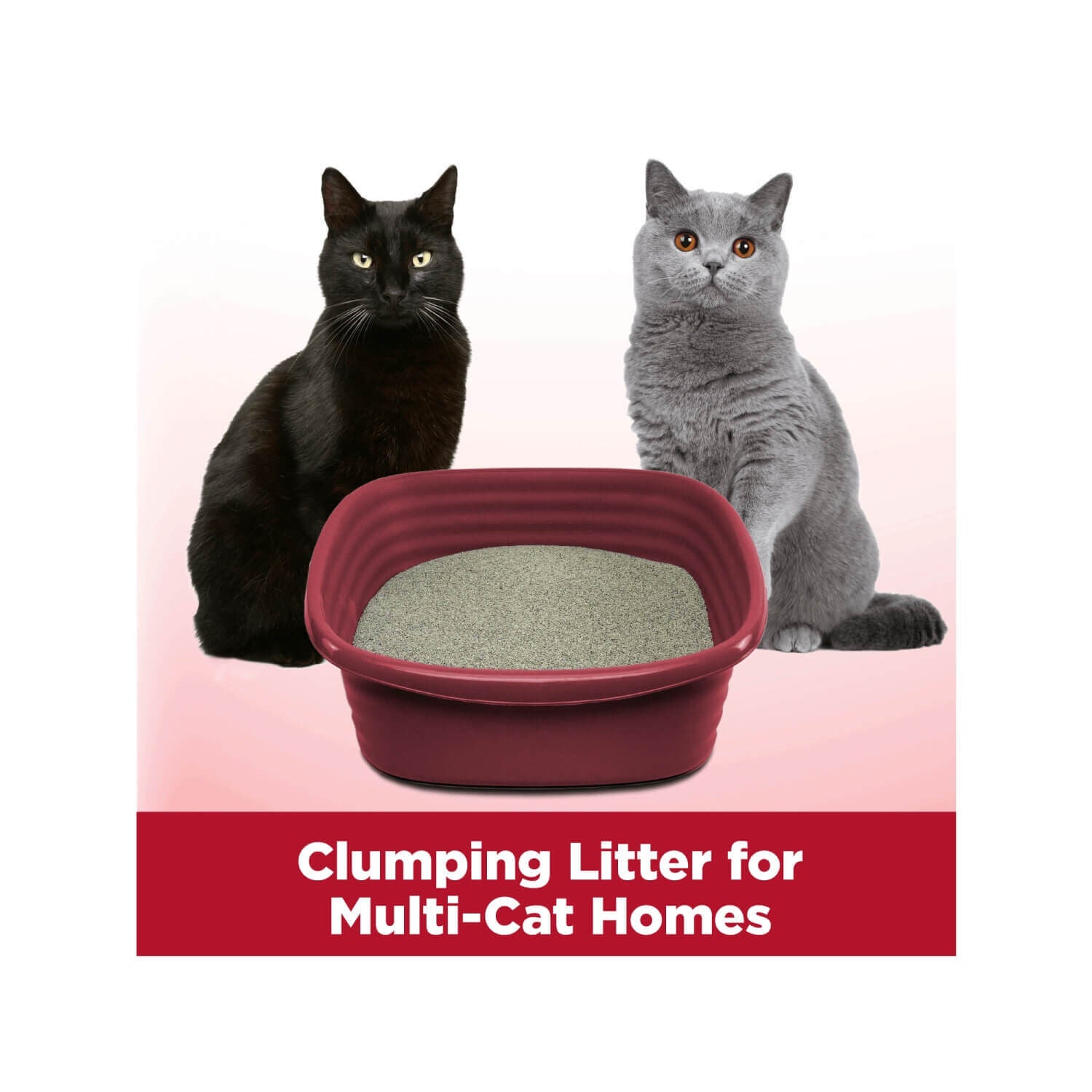 Microguard cat litter clearance
