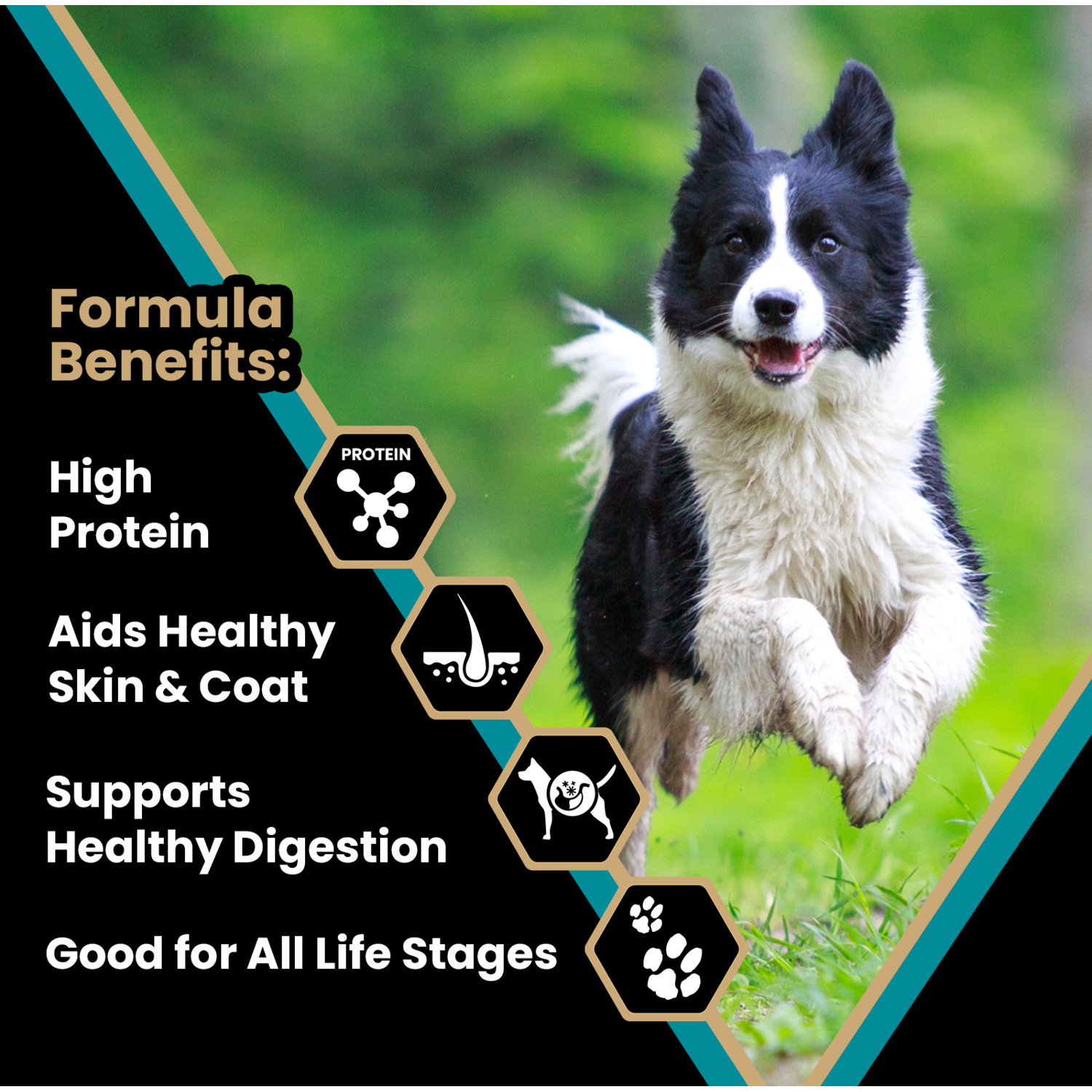 Victor Classic Hi Pro Plus Dry Dog Food, 15Lb Pet Supermarket - Main Image