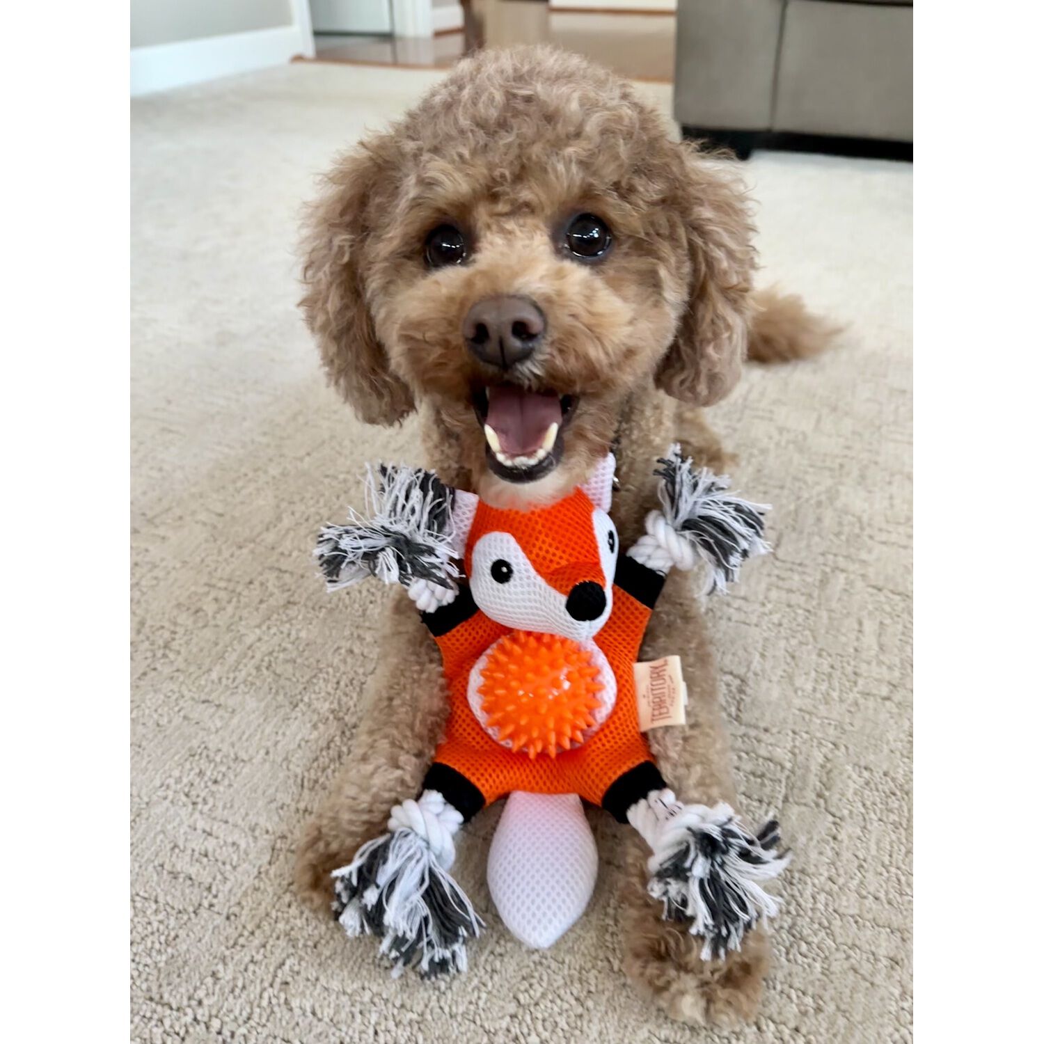 Territory Fox 2-In-1 Fetch Tug Dog Toy, 10"