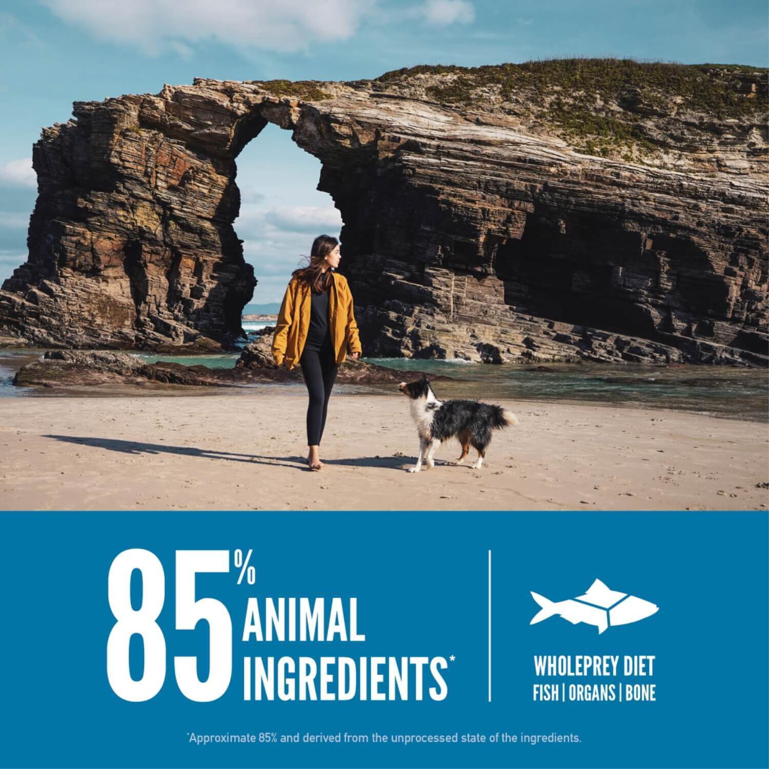 Orijen Six Fish Grain & Poultry Free Dry Dog Food
