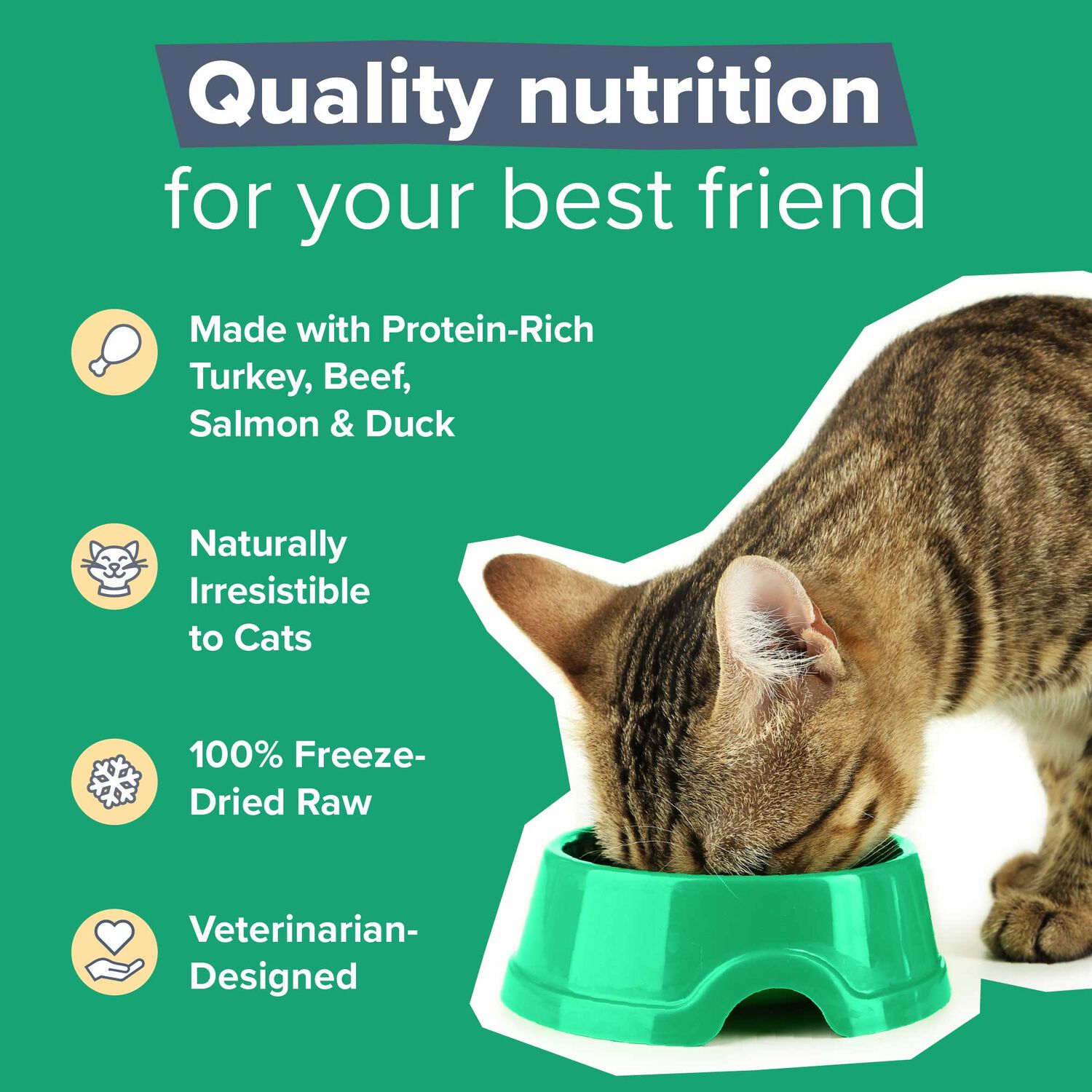 Dr. Marty Nature's Feast Essential Wellness Beef, Salmon And Poultry Freeze Dried Raw Adult Cat Food, 12-Oz Bag