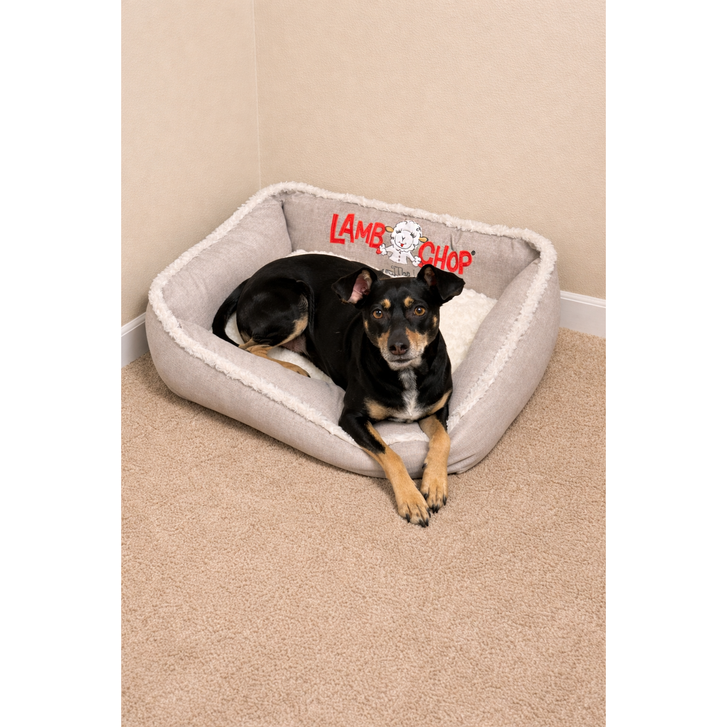 Multipet Lamb Chop Cuddler Plush Dog Bed, 24 Inches