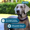 Seresto Flea & Tick Collar For Dogs, Over 18 Lbs thumbnail number 6