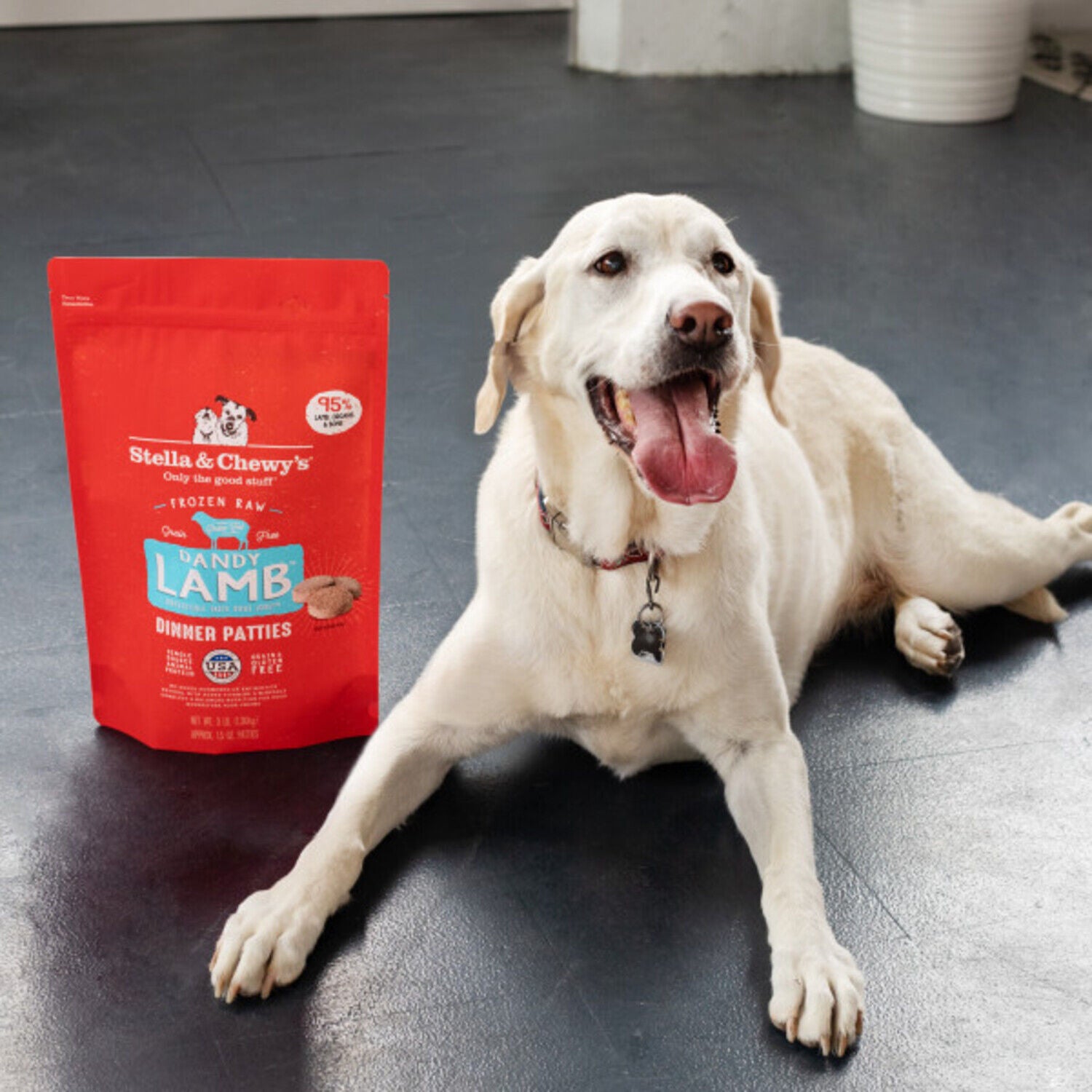Stella & Chewy's Raw Dinner Patties Frozen Dog Food, Dandy Lamb