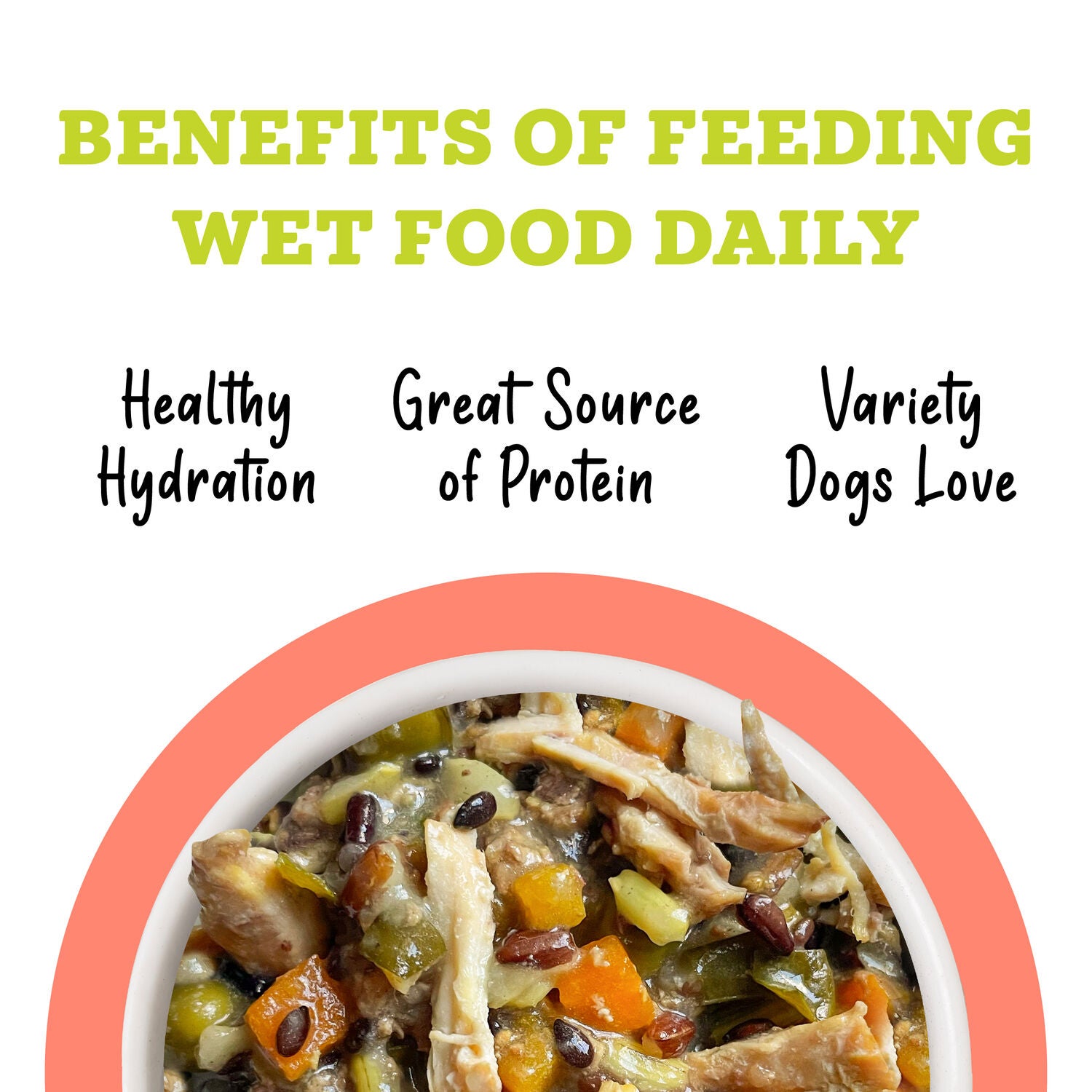 Weruva Awesome Bouncy Chicken Breast And Riceberry Recipe With Veggies, Turmeric And Ginger Wet Dog Food, 6-Oz Pack Of 8