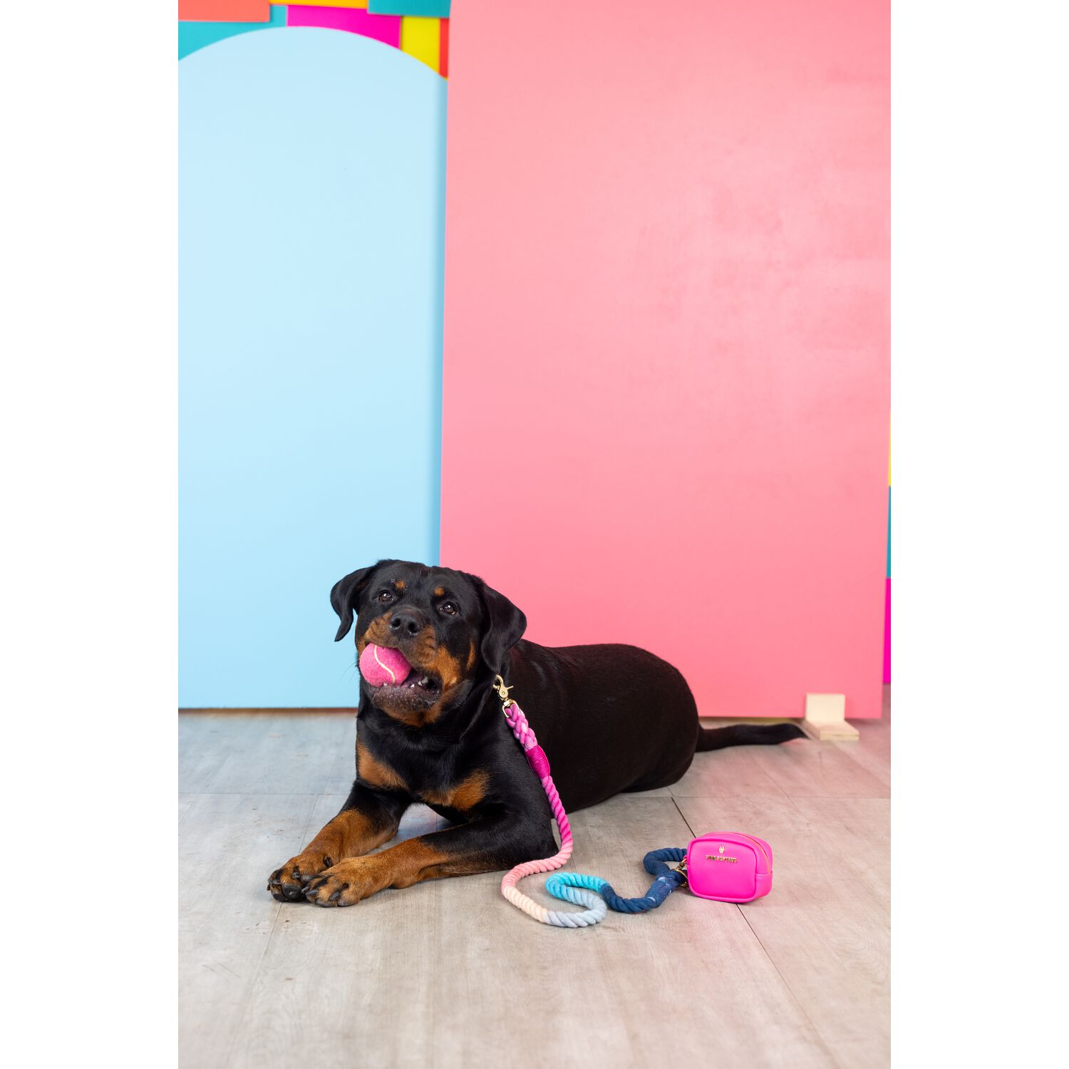 Pink Papyrus Cleo Dog Poop Bag Holder & Treat Pouch Leash Accessory, Pink