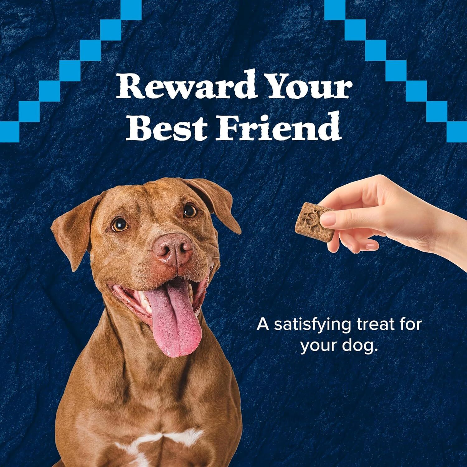 Blue Buffalo Wilderness Trail Treats Grain-Free Biscuits Salmon Recipe Dog Treats, 10-Oz