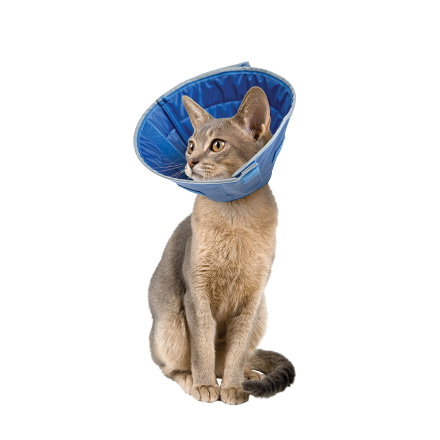 Calm Paws Premium Cat Caring Recovery Collar With Calming Disc