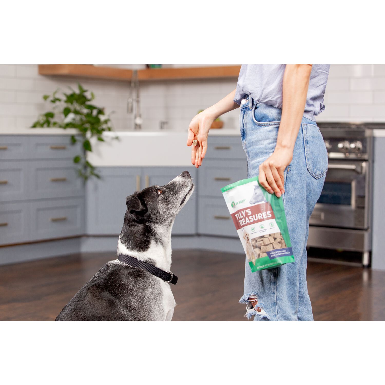 Dr. Marty Tilly's Treasures Freeze-Dried Beef Liver Dog Treats, 8-Oz Bag