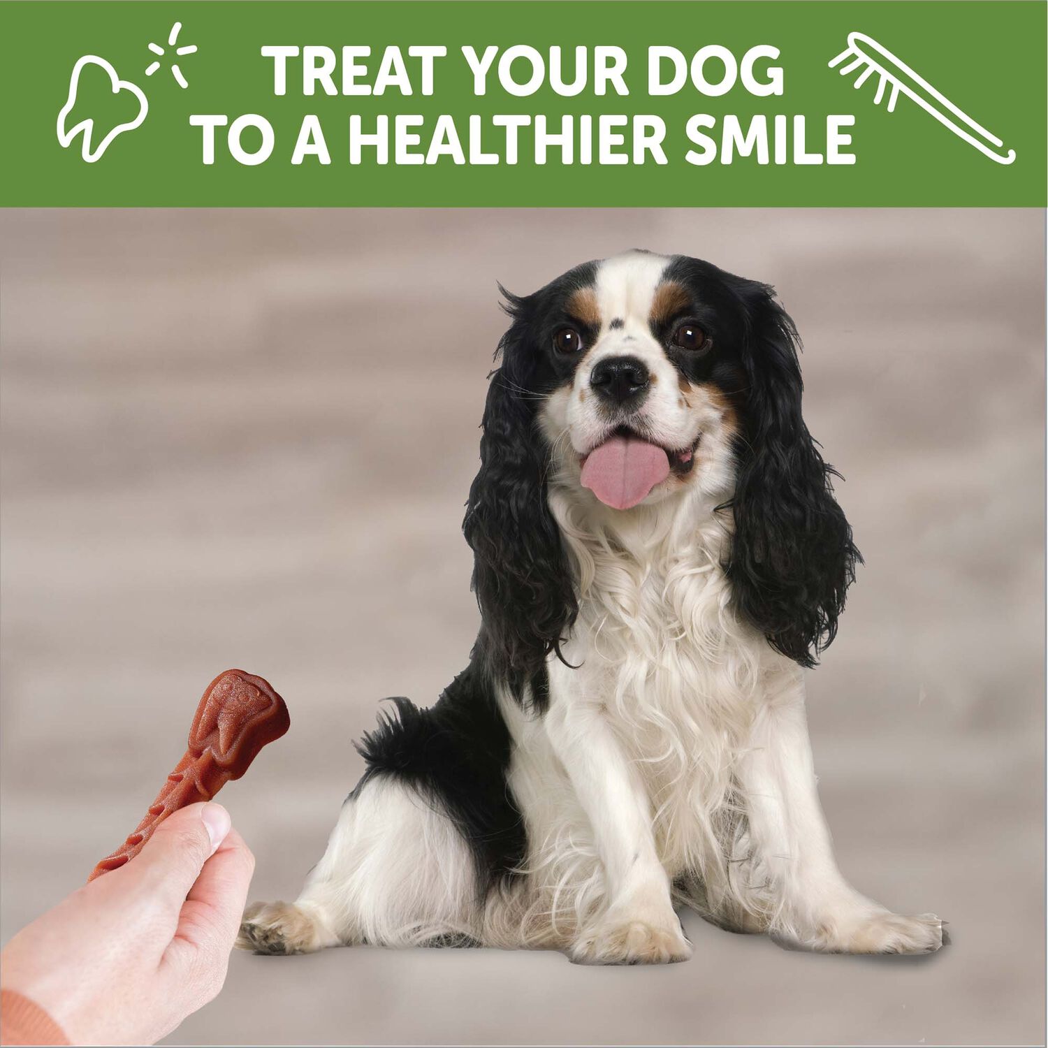 Whimzees Brushzees Natural Grain-Free Dental Dog Treats, Small, 1 Count